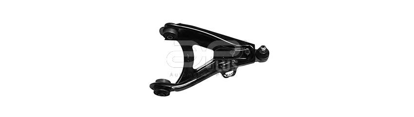 WISHBONEs