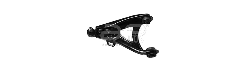 WISHBONEs