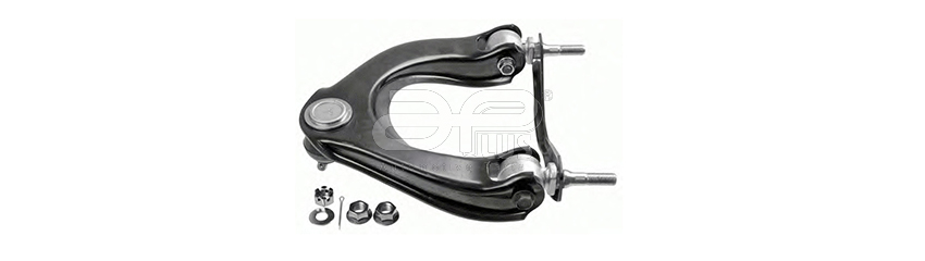 WISHBONEs