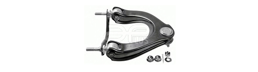 WISHBONEs