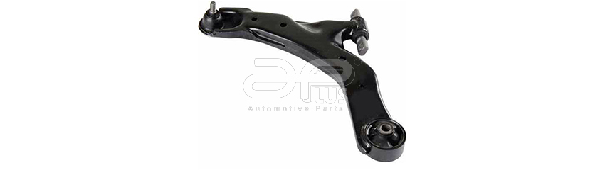 WISHBONEs