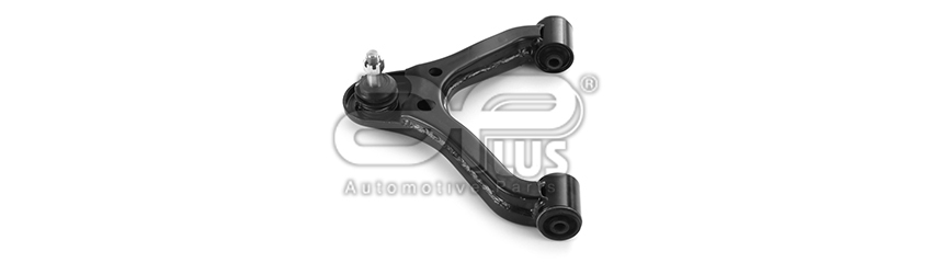 WISHBONEs