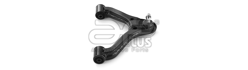WISHBONEs